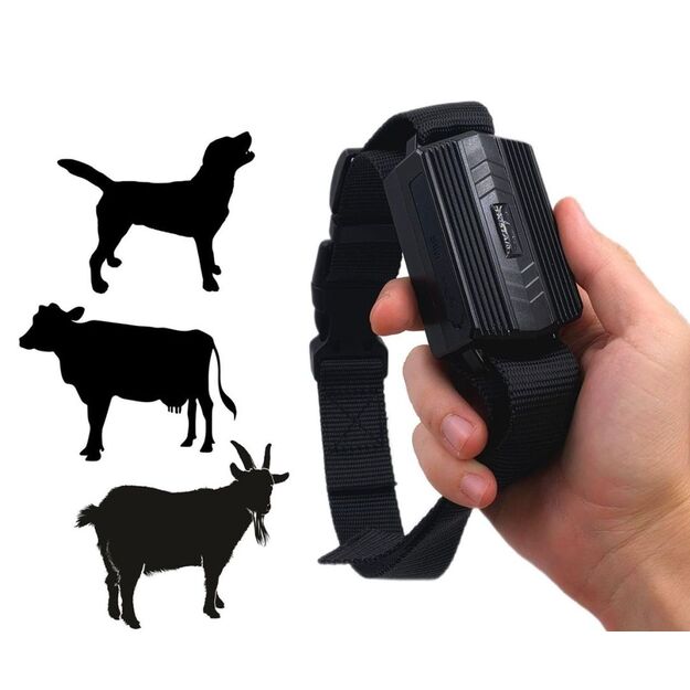 TK935-4G GPS seklys, baterija 3000 mAh 2