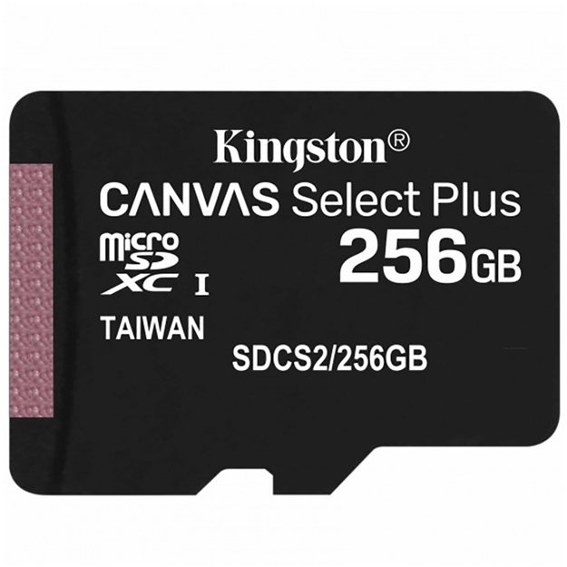 256GB microSD kortelė