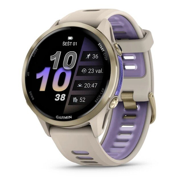 Garmin Forerunner 970 French Grey (010-02969-12)
