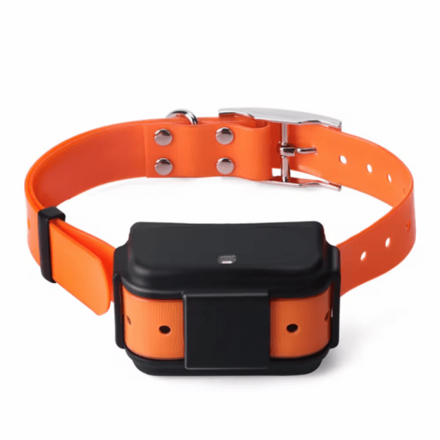 TK919-4G LTE GPS seklys, baterija 3000 mAh